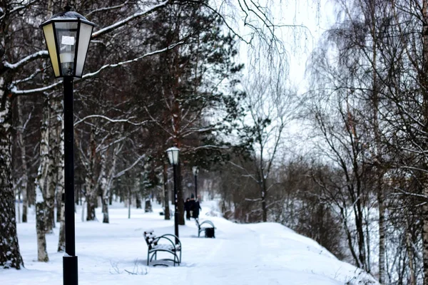 Grupo calle paseo invierno —  Fotos de Stock