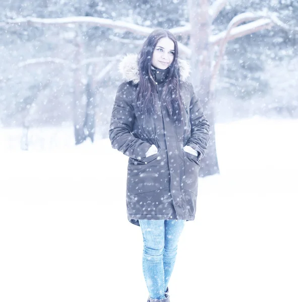 Красива дівчина в красивому зимовому снігу — стокове фото
