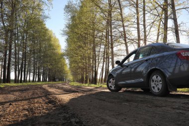 Yatay yaz mevsimindeyiz. Yeşil ağaç ve otların arasında kırsal arazi