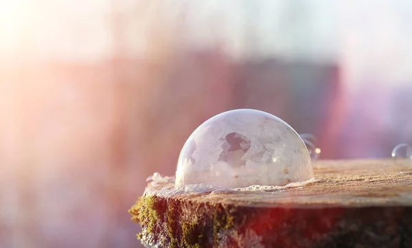 As bolhas de sabão congelam no frio. A água ensaboada do inverno congela em t — Fotografia de Stock