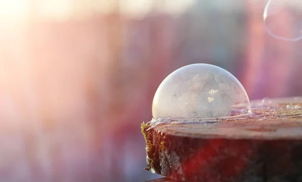 As bolhas de sabão congelam no frio. A água ensaboada do inverno congela em t — Fotografia de Stock