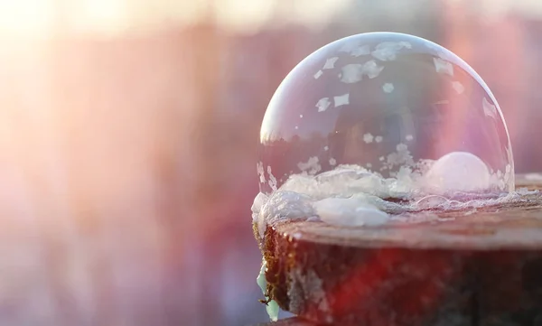 As bolhas de sabão congelam no frio. A água ensaboada do inverno congela em t — Fotografia de Stock