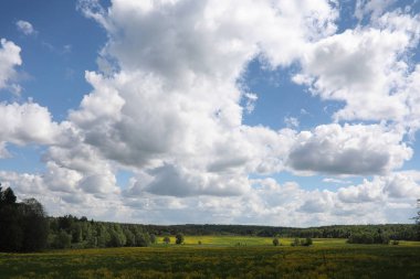 Yatay yaz mevsimindeyiz. Yeşil ağaç ve otların arasında kırsal arazi