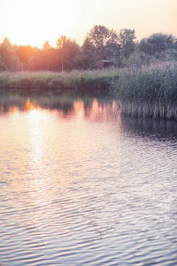 Yatay yaz mevsimindeyiz. Yeşil ağaç ve otların arasında kırsal arazi