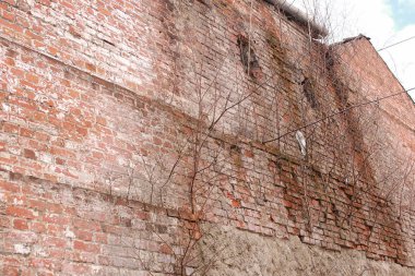 Doku metalik. Sanayi kökenli bir eski paslı