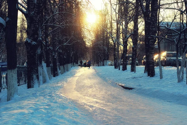 Alley bomen loopbrug winter — Stockfoto