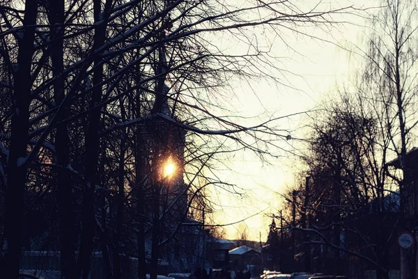 Winter koepel silhouet — Stockfoto