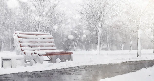 Zasněžené zimní park a lavičky. Park a molo pro krmení — Stock fotografie