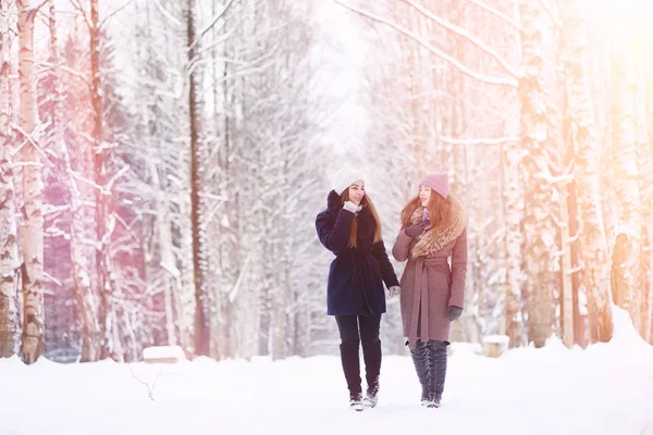 Ein junges Mädchen in einem Winterpark bei einem Spaziergang. Weihnachtsferien in t — Stockfoto