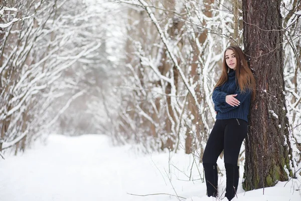 Une jeune fille dans un parc d'hiver en promenade. Vacances de Noël en t — Photo