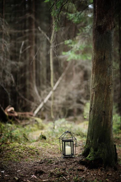 Kristallen bol. Een magische accessoire in de bossen op de stomp. Rit — Stockfoto