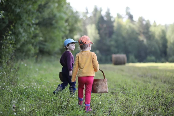 Los niños van al bosque por setas — Foto de Stock
