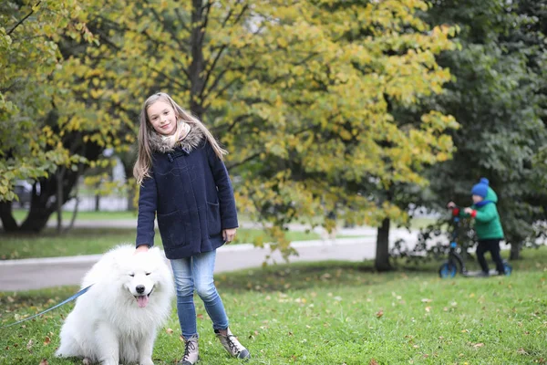 Härlig flicka på promenad med en vacker hund — Stockfoto