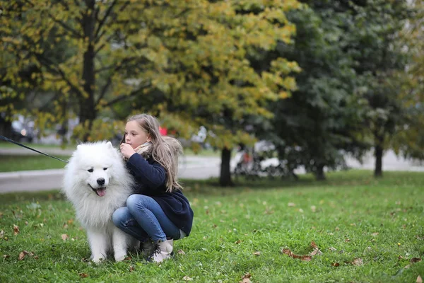 Mooi meisje op een wandeling met een mooie hond — Stockfoto