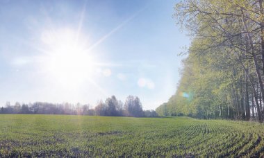 Yatay yaz mevsimindeyiz. Yeşil ağaç ve otların arasında kırsal arazi