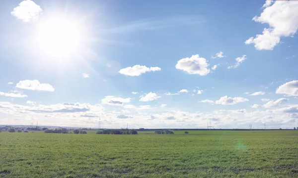 El paisaje es verano. Árboles verdes y hierba en una tierra rural — Foto de Stock