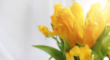 Pencere üzerinde bir vazoda kırmızı lale buketi. İçin bir hediye