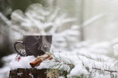 Kış orman sıcak bir içecek bir fincan. Cinn ile sıcak kakao