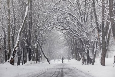 Karla kaplı Kış park ve banklar. Park ve beslenme için pier
