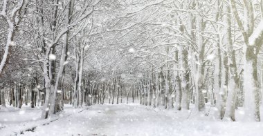 Kar altında kış parkı. Şehir parkında kar fırtınası. Park et!