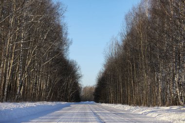 kış günü bir ormanda boş kırsal yol