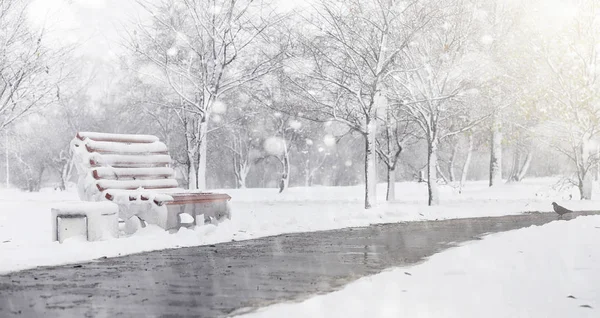 Snow-covered winter park and benches. Park and pier for feeding — Stock Photo, Image