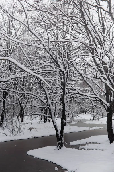 Parque de inverno coberto de neve e bancos. Parque e cais para alimentação — Fotografia de Stock