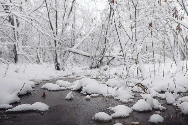 雪に覆われた冬の公園、ベンチ。パーク、および供給のための桟橋 — ストック写真