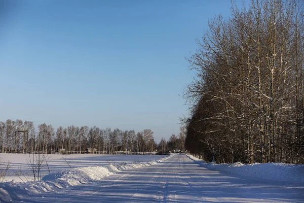 Camino rural vacío en un bosque en el día de invierno —  Fotos de Stock