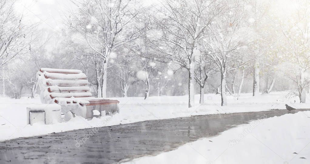 Snow-covered winter park and benches. Park and pier for feeding