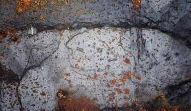 Doku metalik. Sanayi kökenli bir eski paslı