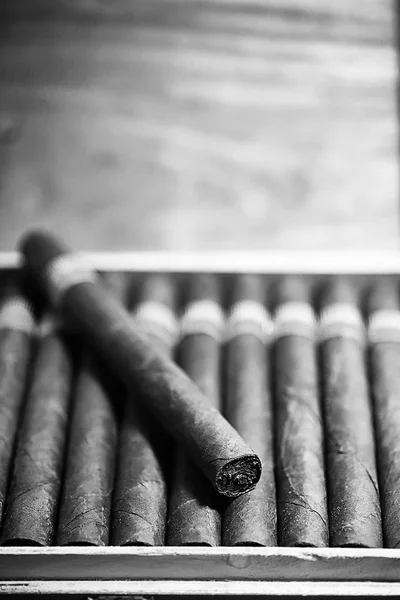 Foto monocromatica di grande scatola di legno di sigari fatti a mano cubano — Foto Stock