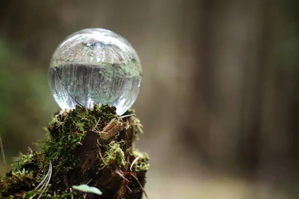 Bola de cristal. Um acessório mágico na floresta no toco. Rit. — Fotografia de Stock