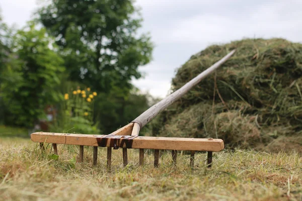 Limpieza con un rastrillo en una granja — Foto de Stock