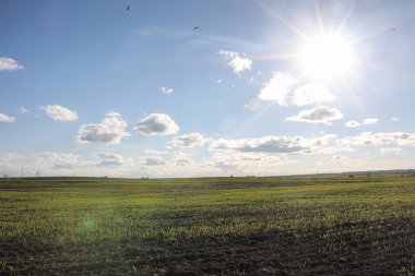 Yatay yaz mevsimindeyiz. Yeşil ağaç ve otların arasında kırsal arazi