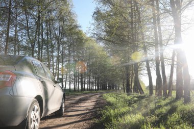 Yatay yaz mevsimindeyiz. Yeşil ağaç ve otların arasında kırsal arazi