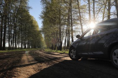 Yatay yaz mevsimindeyiz. Yeşil ağaç ve otların arasında kırsal arazi