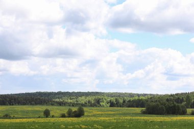 Yatay yaz mevsimindeyiz. Yeşil ağaç ve otların arasında kırsal arazi