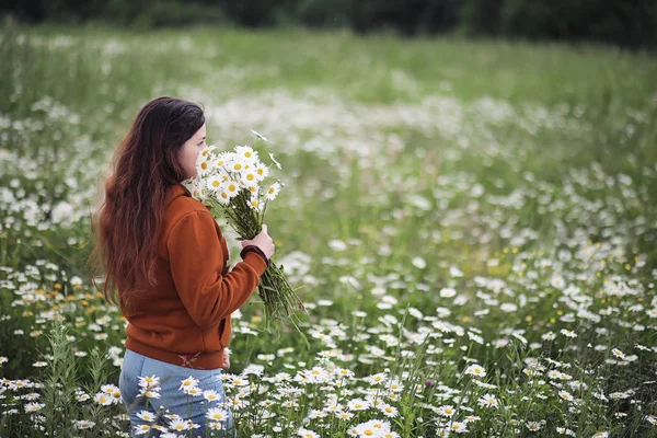 Gadis cantik mengoleksi aster di bidang musim panas — Stok Foto