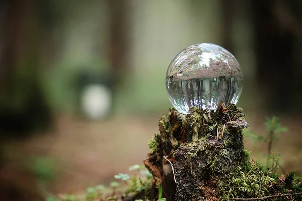 Bola de cristal. Um acessório mágico na floresta no toco. Rit. — Fotografia de Stock