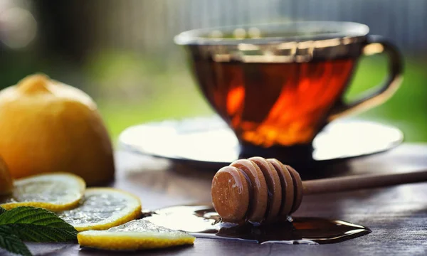Tee mit Zitrone und Minze in der Natur. eine Tasse heißen Minztee mit le — Stockfoto