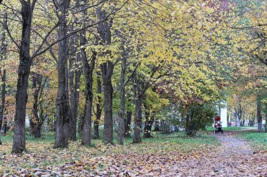 Çocuklar oyun bahçesinde oynuyorlar.