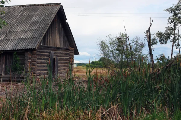 Sazlık olan bir alana evde