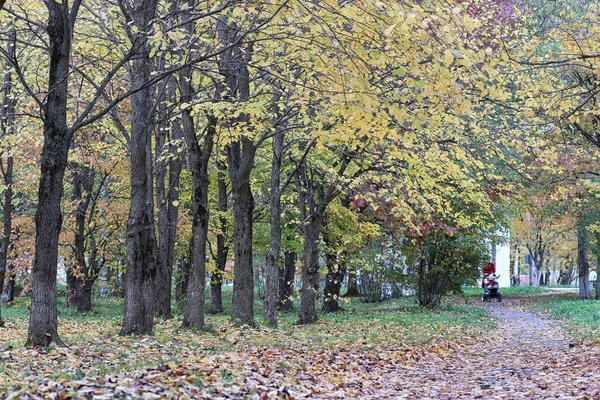 Çocuklar oyun bahçesinde oynuyorlar.