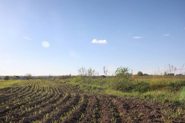 Yatay yaz mevsimindeyiz. Yeşil ağaç ve otların arasında kırsal arazi