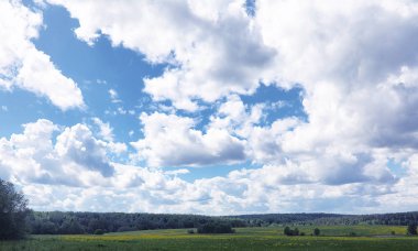 Yatay yaz mevsimindeyiz. Yeşil ağaç ve otların arasında kırsal arazi
