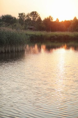 Yatay yaz mevsimindeyiz. Yeşil ağaç ve otların arasında kırsal arazi