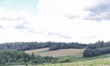 Yatay yaz mevsimindeyiz. Yeşil ağaç ve otların arasında kırsal arazi