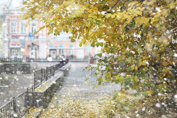 秋の風景です。葉は、都市の木から飛ぶ。Aut — ストック写真