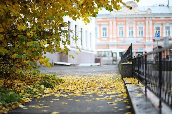 Jesienny krajobraz. Liście lecą z drzew w mieście. Aut — Zdjęcie stockowe